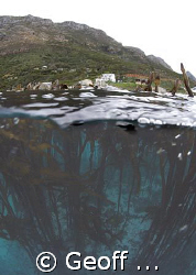 Castle Rocks Marine Reserve , Cape Peninsula, Cape Town by Geoff Spiby 